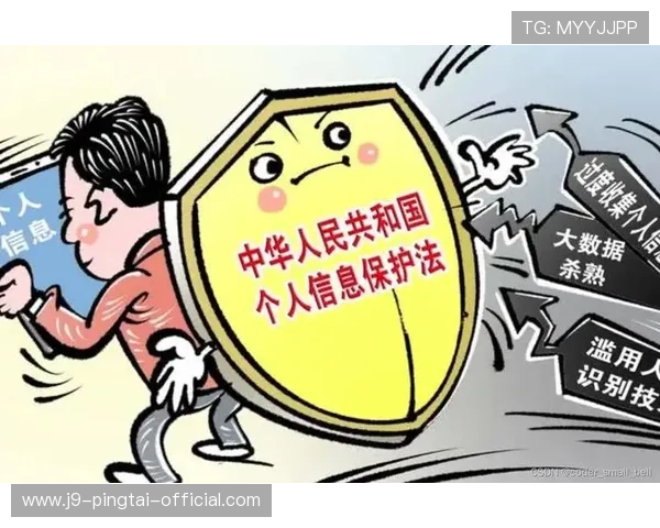 九游游戏中心网页版登录入口安全保障措施，保障玩家账号信息安全与隐私保护